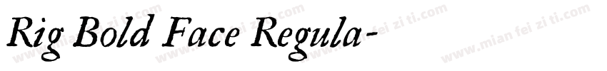 Rig Bold Face Regula字体转换